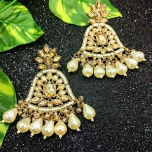 PARTYWEAR EARING-INA001