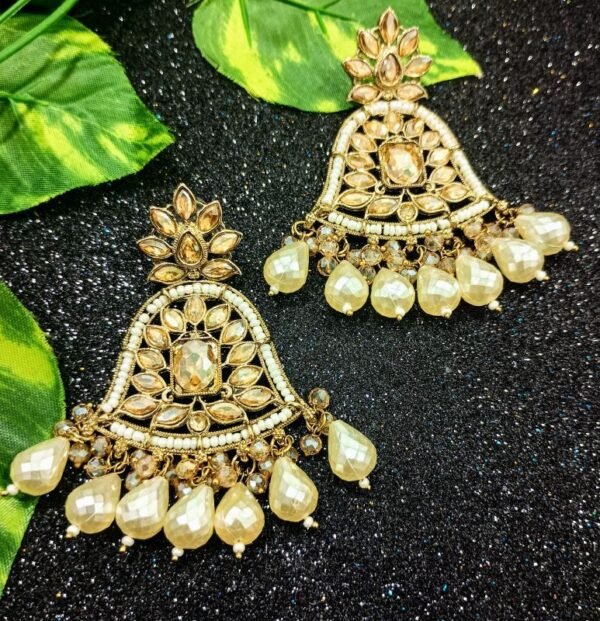 PARTYWEAR EARING-INA001